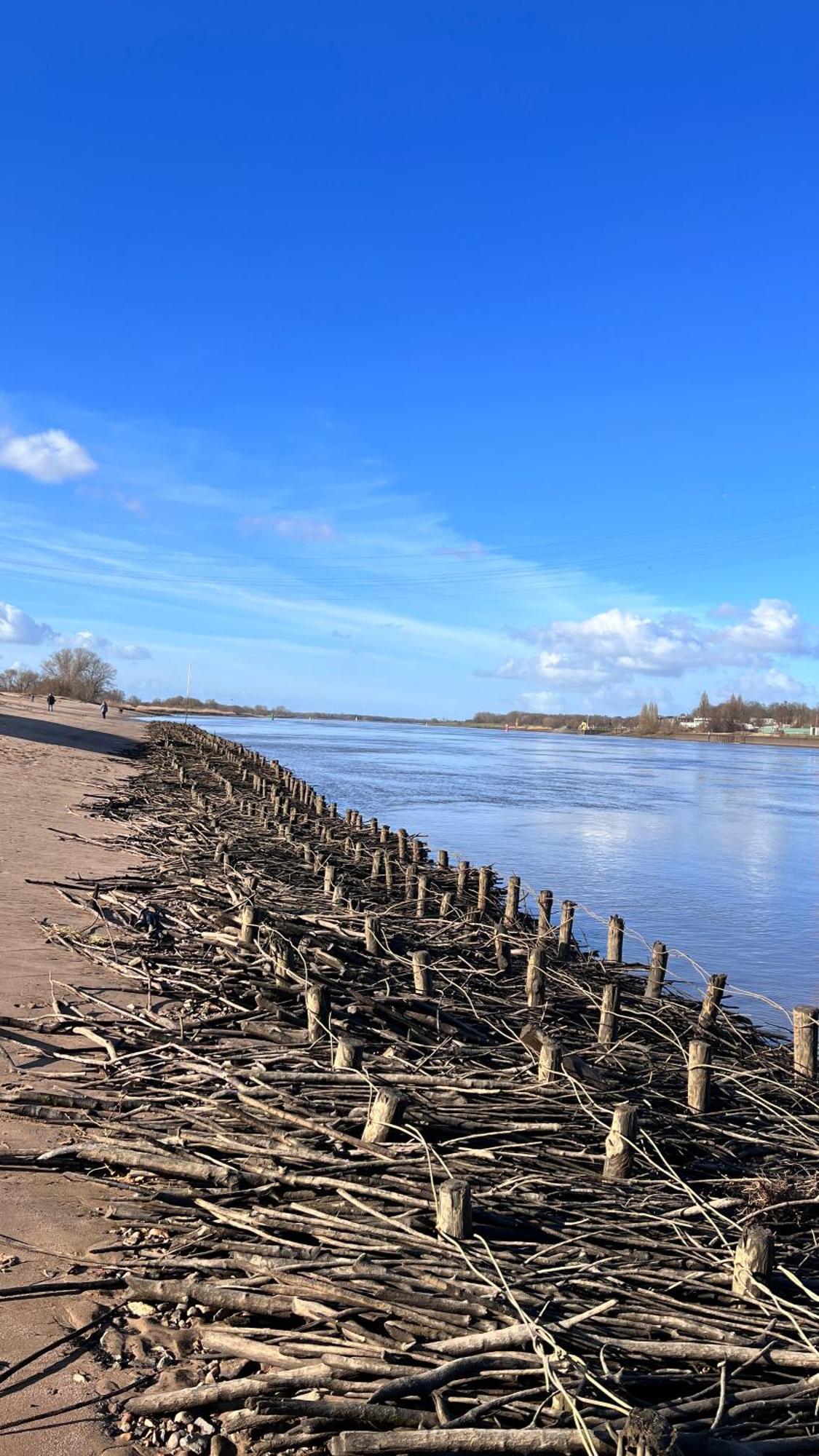 Gaestehaus Weserblick Am Weser-Sandstrand Berne Zewnętrze zdjęcie
